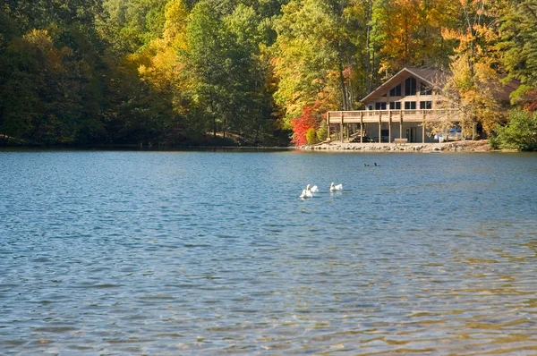 Lake Allen — Stock Photo, Image