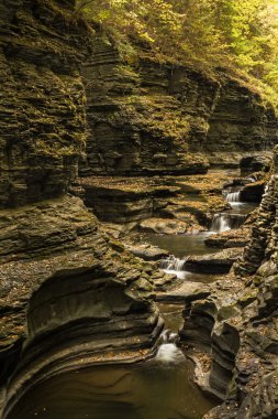 Watkins glen şelaleler