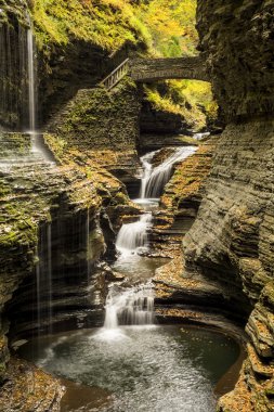 Watkins glen şelaleler