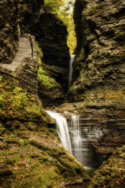 Watkins glen şelaleler