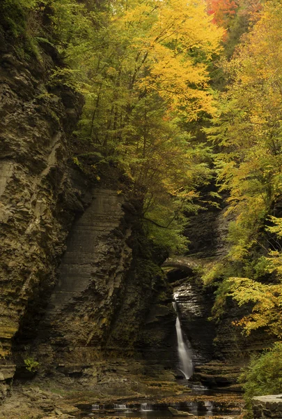 Watkins Glen Waterfalls — Stockfoto