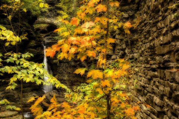 Watkins Glen Waterfalls