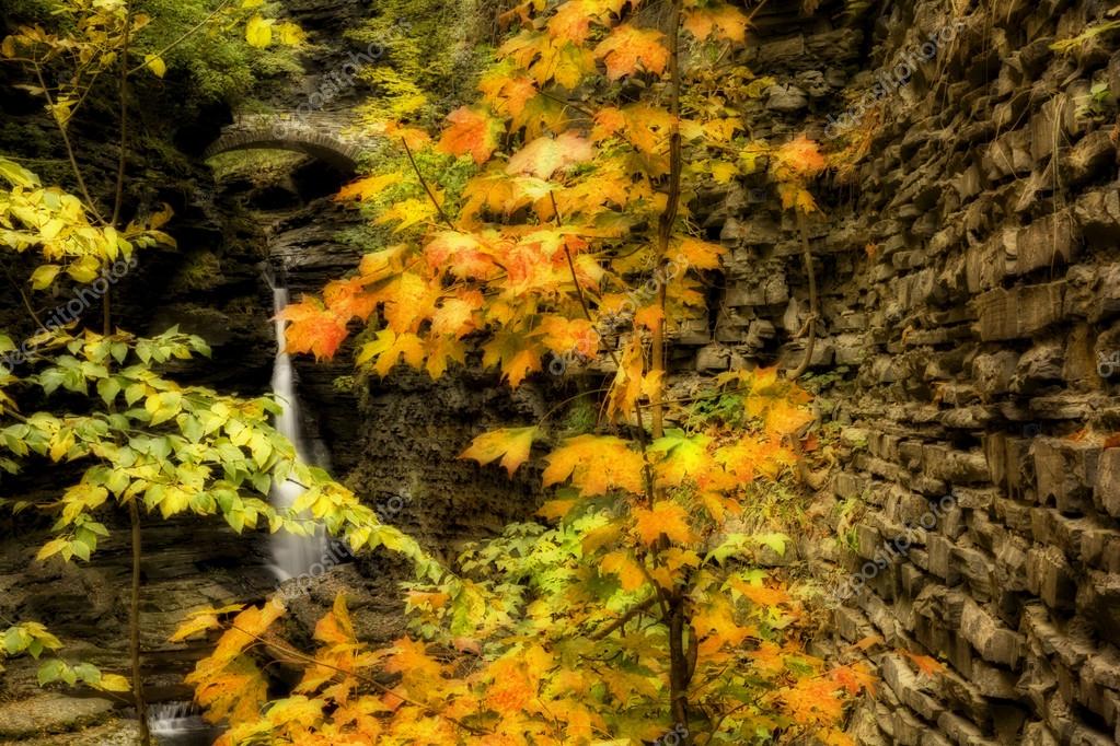 watkins glen waterfalls ny