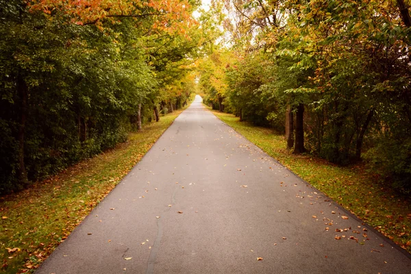 Estrada do país no outono — Fotografia de Stock