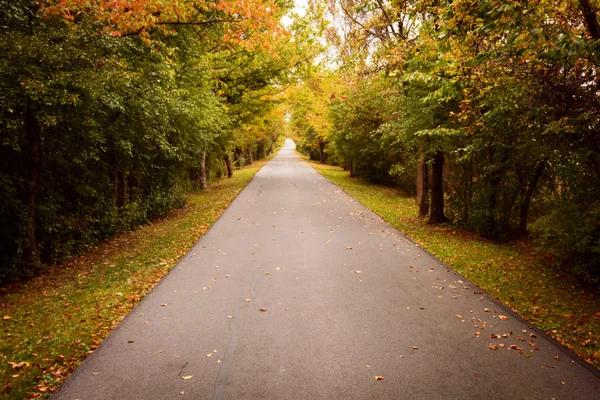 Landweg in het najaar — Stockfoto