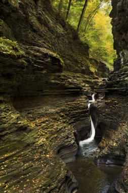 Watkins glen şelaleler