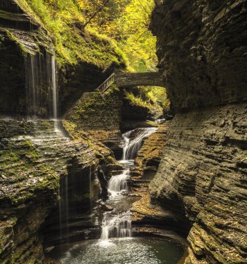 Watkins glen şelaleler