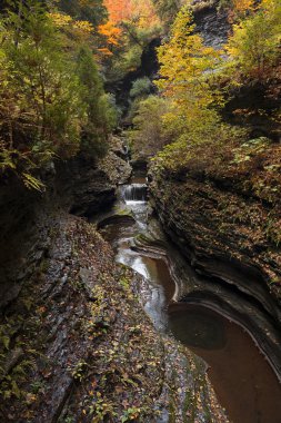 Watkins glen şelaleler