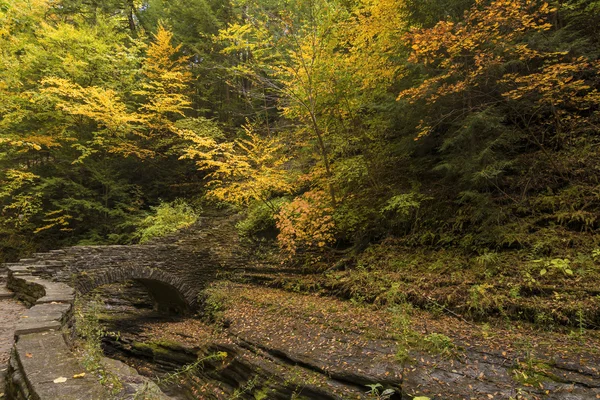 Watkins Glen Stone Bridge — Stock Photo, Image