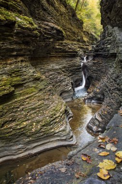 Watkins glen şelaleler