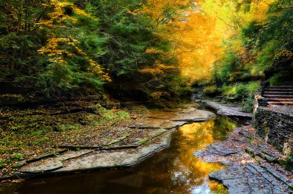 Rio Floresta do Outono — Fotografia de Stock