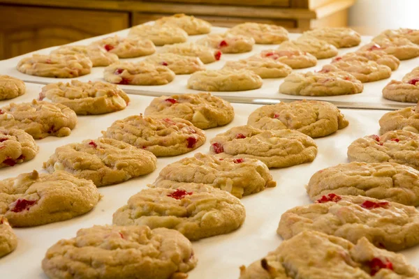 Fresh Baked Cookies — Stock Photo, Image