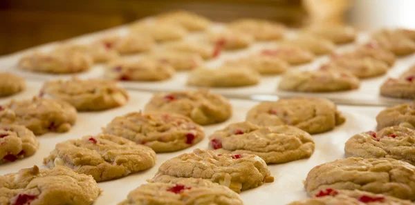 Fresh Baked Cookies — Stock Photo, Image