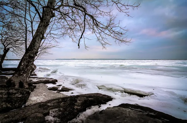 Inverno lago erie — Foto Stock