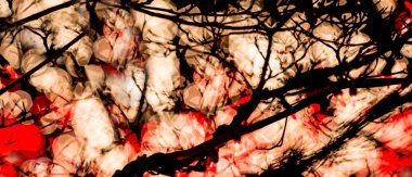 soyut kırmızı & beyaz bokeh ışıklar