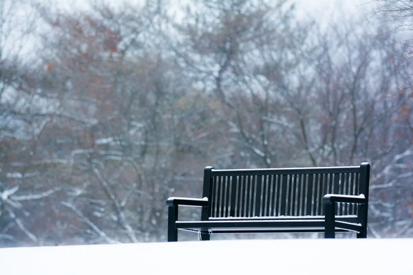 Скамейка в Снежном парке — стоковое фото