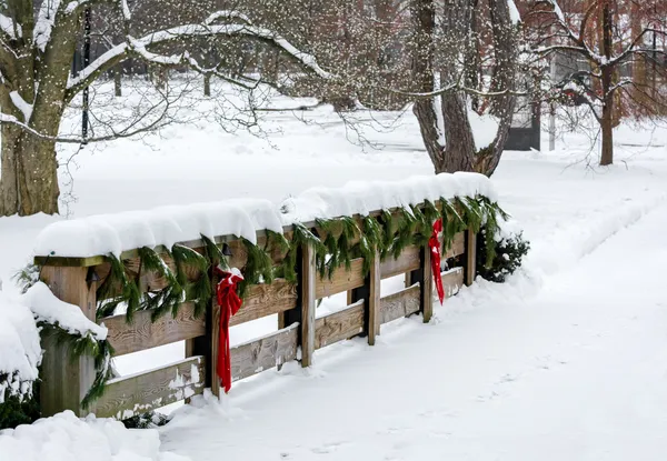 Weihnachtsszene auf dem Land — Stockfoto