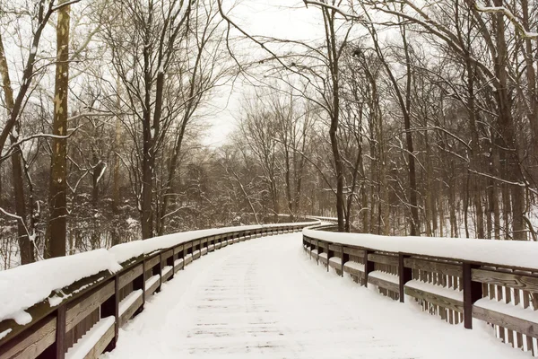Snowy Winter Boardwalk — Stock Photo, Image