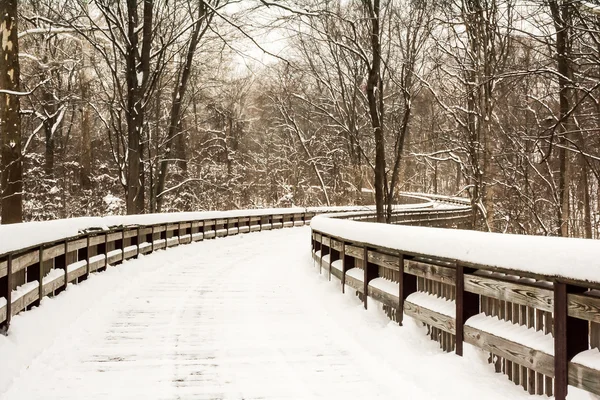 Snowy Winter Boardwalk — Stock Photo, Image