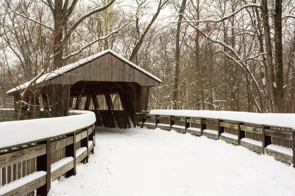 Besneeuwde winter overdekt bruggetje — Stockfoto