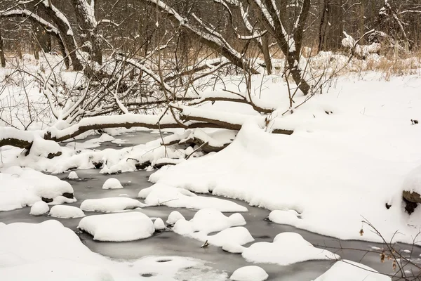 Ruisseau enneigé d'hiver — Photo