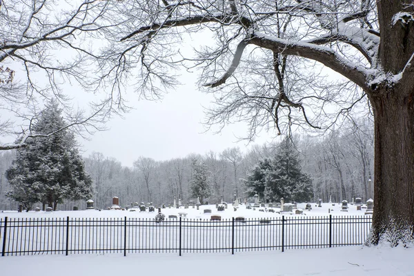 Winterruhe — Stockfoto