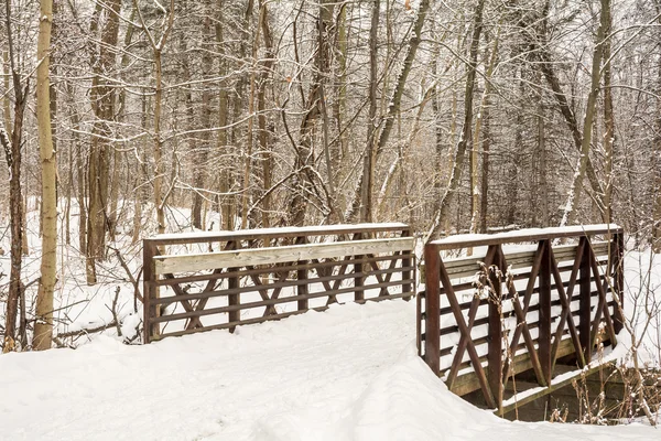 Winter trail — Stockfoto