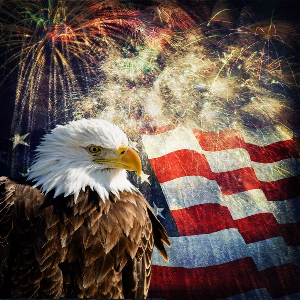 Bald Eagle & Fireworks — Stock Photo, Image