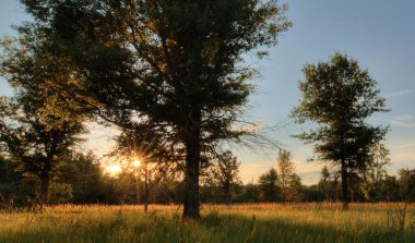 Prairie günbatımı
