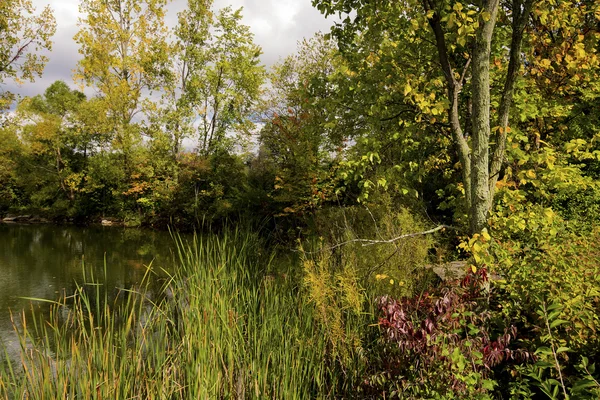 Early Autumn — Stock Photo, Image