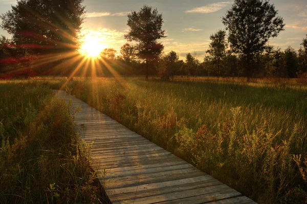 Prairie zonsondergang — Stockfoto