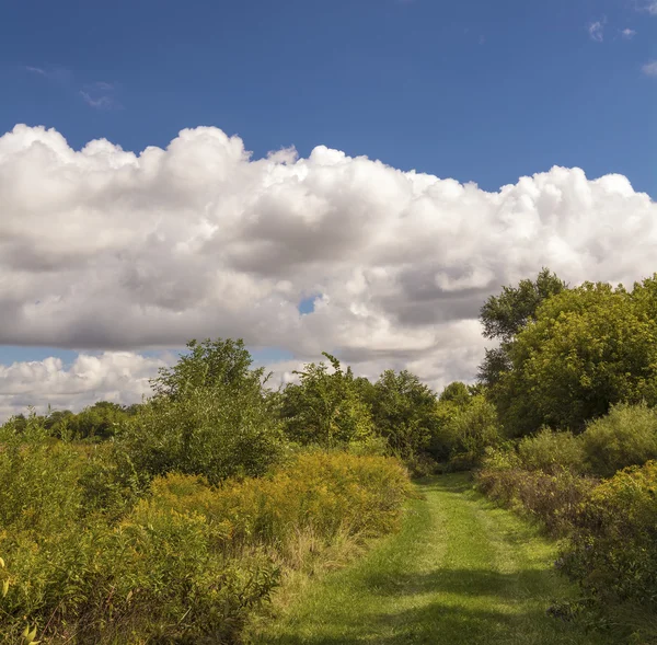 Prateria Ohio — Foto Stock