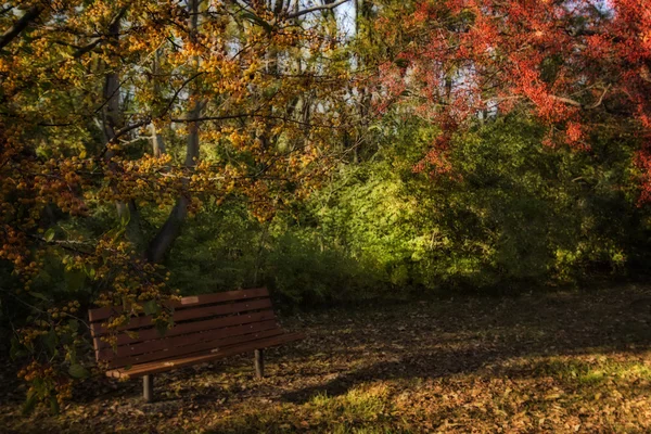 Crabapples och bänk — Stockfoto