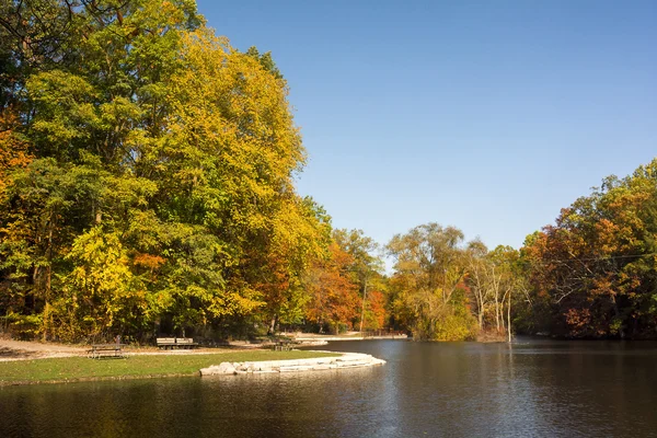 Autumn Trees — Stock Photo, Image