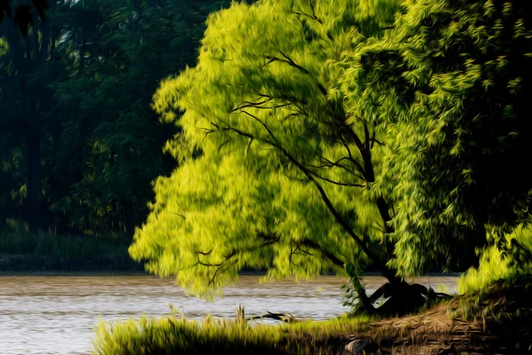 Margem do rio Árvore — Fotografia de Stock