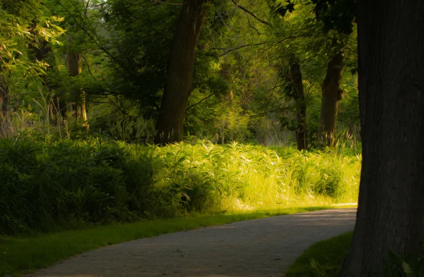 Voorjaarsbos — Stockfoto