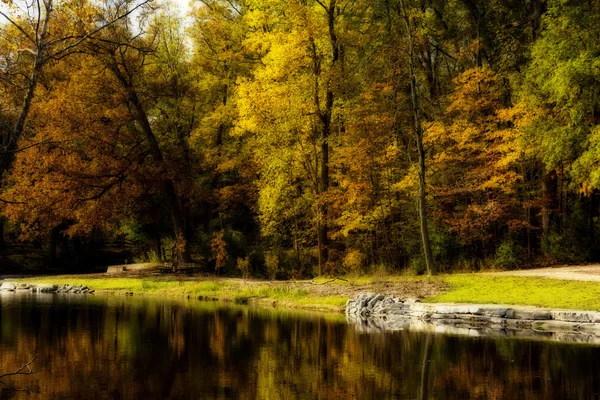 Autumn Trees — Stock Photo, Image