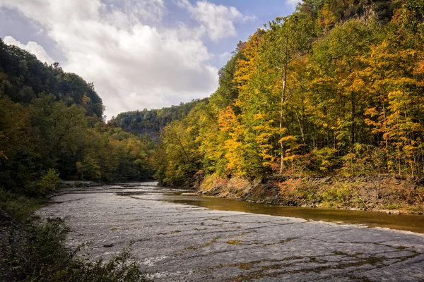 Autumn River — Stock Photo, Image