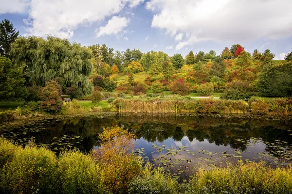 秋の池 — ストック写真
