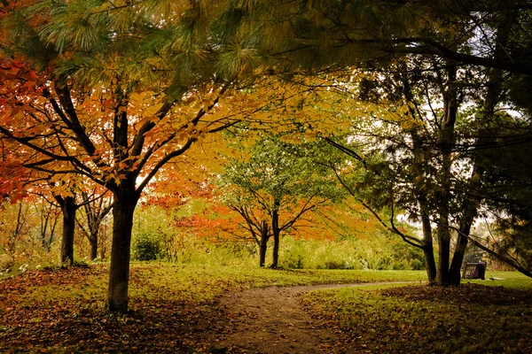 Herbstpfad — Stockfoto