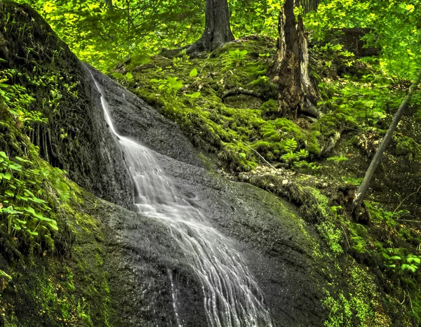 Cascata cai — Fotografia de Stock