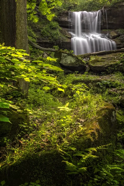 Quakertown Falls — Stock Photo, Image