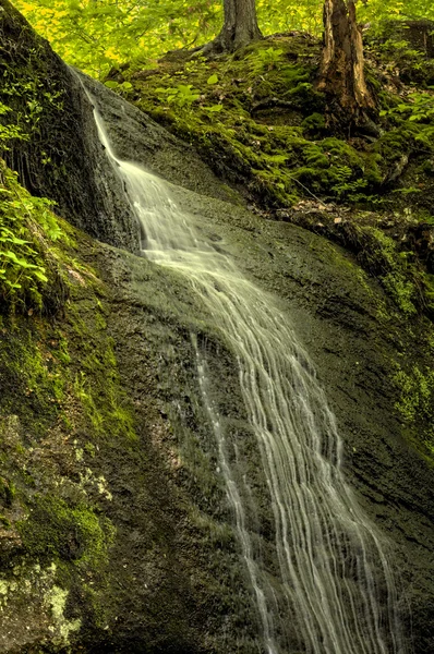 Cascade Falls — Stock Photo, Image