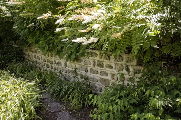 Garden Wall — Stock Photo, Image