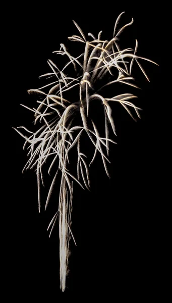 Feuerwerk isoliert — Stockfoto