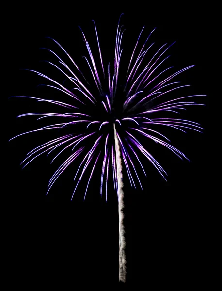 Purple Fireworks Isolated — Stock Photo, Image