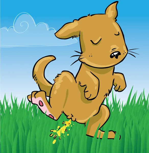 Little doggy peeing on grass