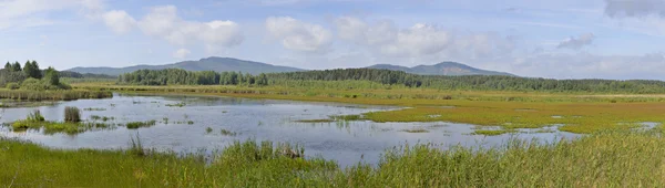 Уральський водний ландшафт. На пляжі . Ліцензійні Стокові Фото