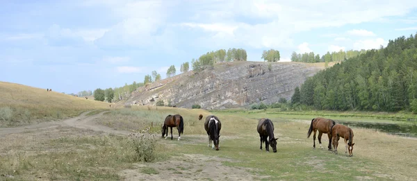 Ural paisaje de verano. República de Bashkortostán. Pueblo de Maloyaz . Imagen De Stock