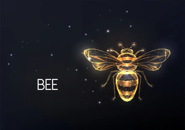 Soyut altın arı, çizgilerden yapılmış bal arısı, yıldızlar, siyah arka planda izole edilmiş çokgenler.. — Stok Vektör